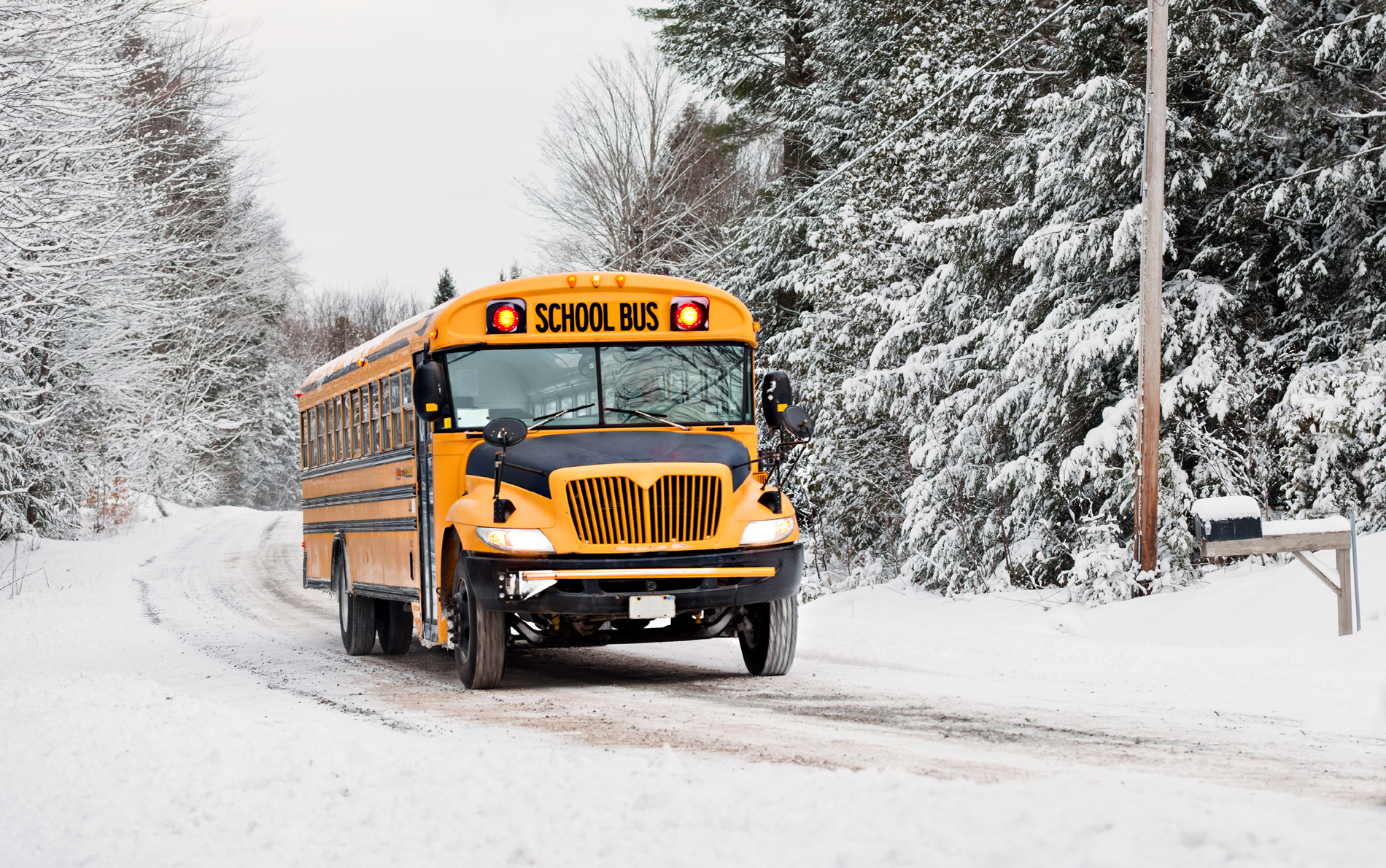 Rappel utile concernant les annulations de service de transport scolaire